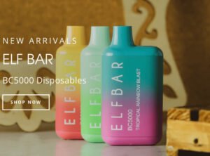 Beach Day Elf Bar Flavor